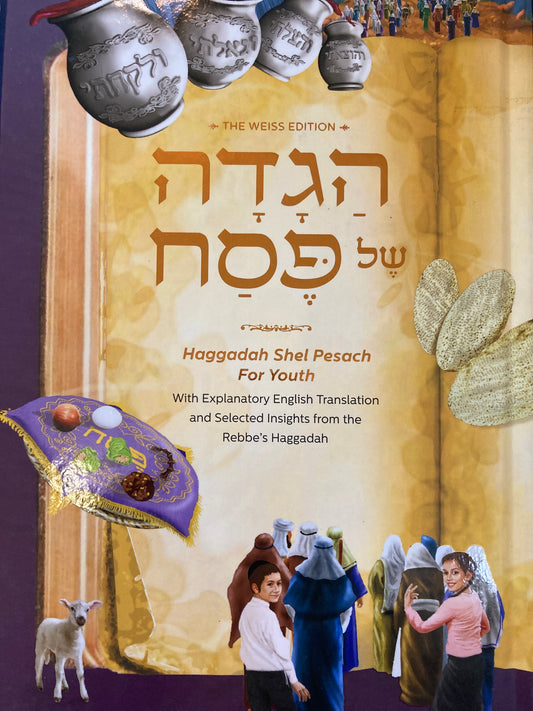 Haggadah Shel Pesach For Youth